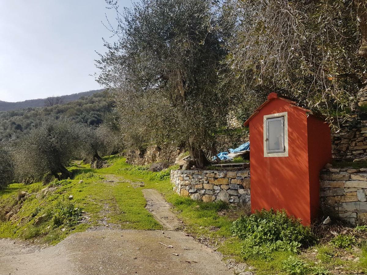 Piccolo Rifugio Nel Verde Chiusavecchia Exterior foto
